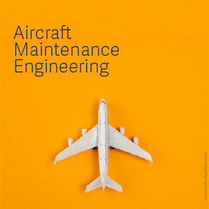 Aircraft Maintenance Engineering Scope
